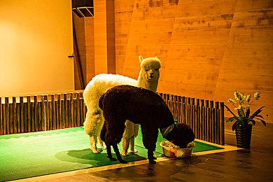 《脑航员》开发商Double Fine回应新作传闻：正在开发中